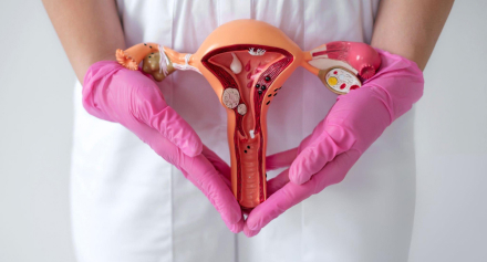 Image representing Demystifying Endometriosis: Symptoms, Diagnosis, and Treatment Options